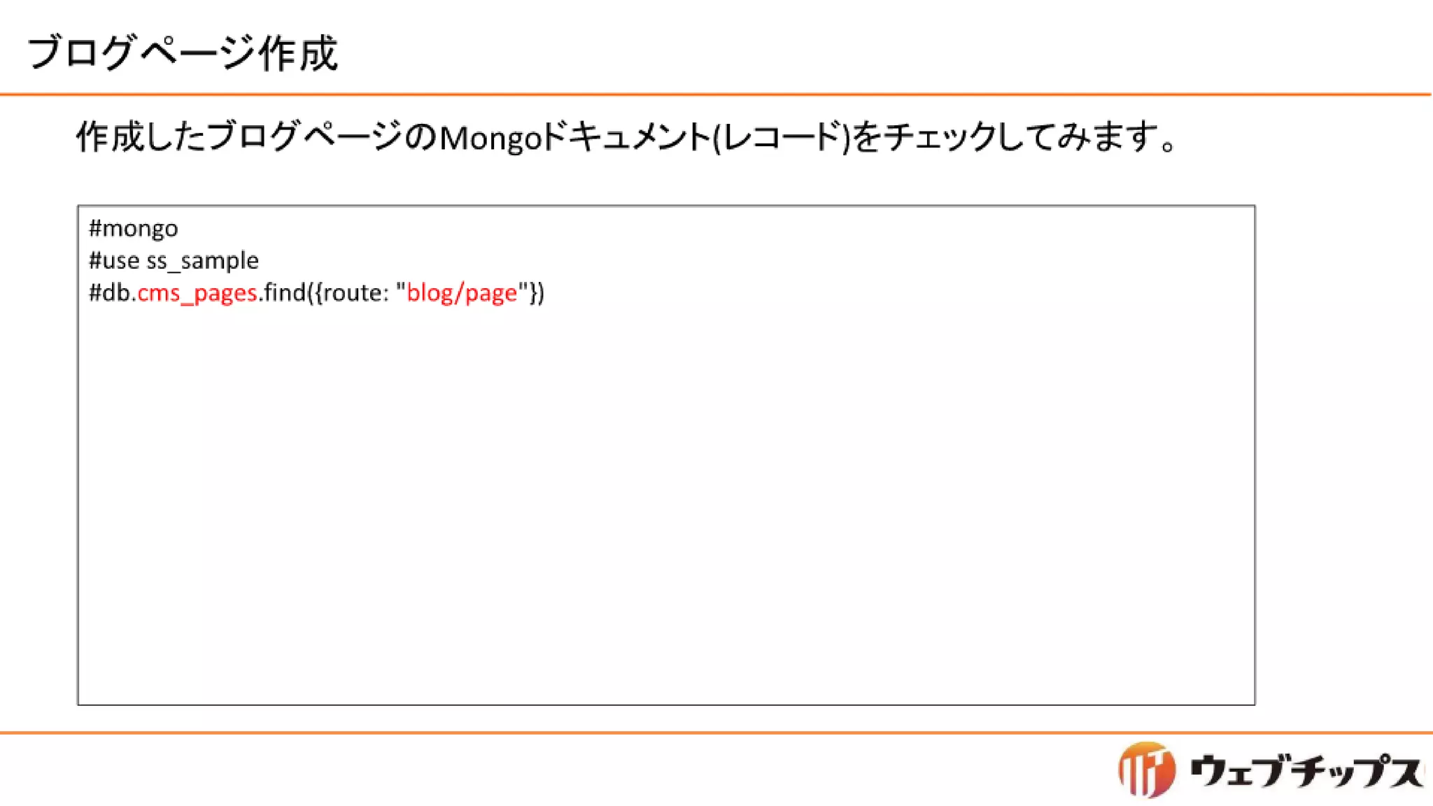 シラサギハンズオン 松江