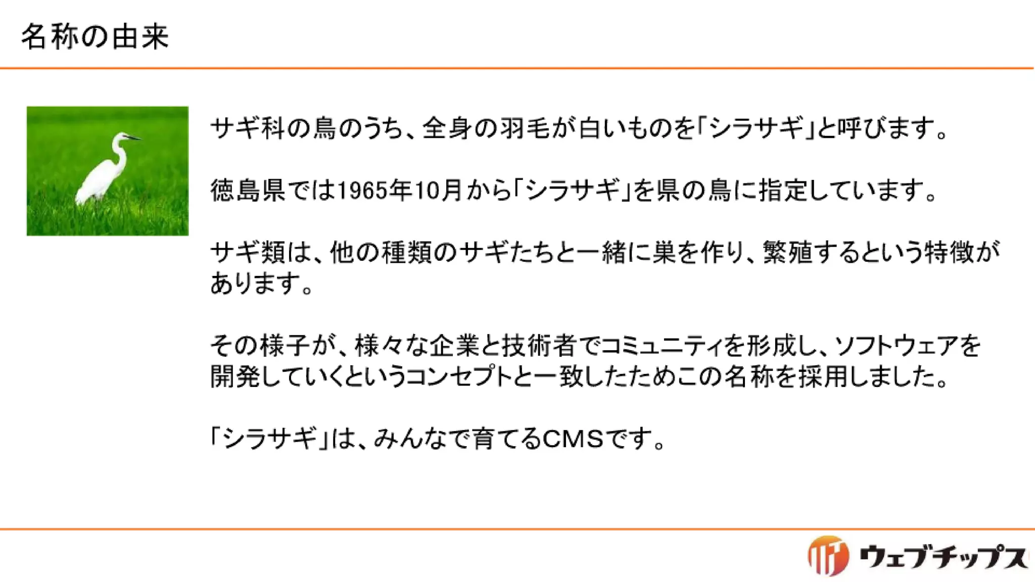 シラサギハンズオン 松江