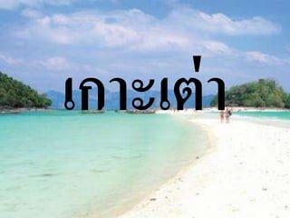 ๶กาะเต่า
 