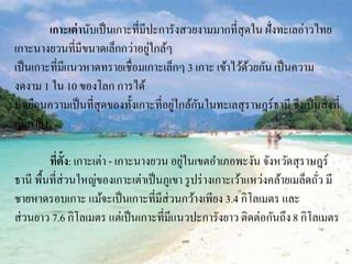 ๶กาะเต่านับเป็นเกาะที่มีปะการังสวยงามมากที่สุดใน ฝั่งทะเลอ่าวไทย
เกาะนางยวนที่มีขนาดเล็กกว่าอยู่ใกล้ๆ
เป็นเกาะที่มีแนวหาดทรายเชื่อมเกาะเล็กๆ 3 เกาะ เข้าไว้ด้วยกัน เป็นความ
งดงาม 1 ใน 10 ของโลก การได้
มาเยือนความเป็นที่สุดของทั้งเกาะที่อยู่ใกล้กันในทะเลสุราษฎร์ธานี จึงเป็นสิ่งที่
คุ้มค่ายิ่ง
ที่ตั้ง: ๶กาะเต่า - เกาะนางยวน อยู่ในเขตอาเภอพะงัน จังหวัดสุราษฎร์
ธานี พื้นที่ส่วนใหญ่ของ๶กาะเต่าเป็นภูเขา รูปร่างเกาะเว้าแหว่งคล้ายเมล็ดถั่ว มี
ชายหาดรอบเกาะ แม้จะเป็นเกาะที่มีส่วนกว้างเพียง 3.4 กิโลเมตร และ
ส่วนยาว 7.6 กิโลเมตร แต่เป็นเกาะที่มีแนวปะการังยาว ติดต่อกันถึง8 กิโลเมตร
 