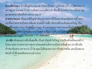 อ่าวเทียนออก อ่าวนี้อยู่ถัดมาจากอ่าวโฉลกบ้านเก่า รูปร่างอ่าวกว้างๆ มีหาดทราย
แดงอยู่ปลายแหลม ถ้าอยากเห็นอ่าวแบบเต็มๆ ตา ต้องขึ้นไปหลังอาวบนเนินเขามุม
สูง มองลงมาเห็นโค้งอ่าวสวยงามมาก
หาดทรายแดง เป็นหาดที่มีจุดสาคัญหลายอย่างที่เป็นเอกลักษณ์ของหาดนี้อย่าง
แรกคือหาดทรายเป็นทรายสีแดง หาดนี้น้าไม่ลึก หัวหาดมีกองหินขนาดใหญ่ เป็น
หาดที่มีเศษซากปะการังพัดขึ้นมาเยอะ ตาแหน่งของหาดทรายแดงนี้อยู่ใกล้กับเกาะ
กงทรายแดงหรือบางคนเรียกว่าเกาะฉลามเป็นเกาะหิน เกาะเล็กๆ เกาะนี้อุดมไป
ด้วยปลาฉลามหูดา
อ่าวลึก ลักษณะอ่าวลึกนั้นสมชื่อ เป็นอ่าวไม่เล็กไม่ใหญ่ รายเรียงด้วยต้นมะพร้าว
ไม่หนาแน่น หาดทรายขาวสะอาดโดยเฉพาะหัวหาดเป็นหาดหินล้วนๆ อ่าวลึกเป็น
เจ้าของหินสวย ทรายงาม น้าใส อุดมไปด้วยเหลาปะการังหลากชนิด และเป็นสนาม
สอนดาน้าลึกยอดฮิตรองจากอ่าวม่วง
 