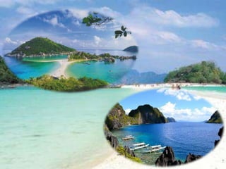 ๶กาะเต่า