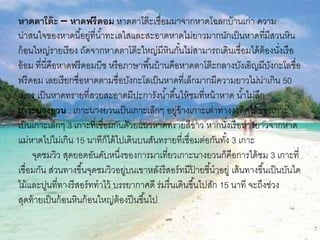 หาดตาโต๊ะ – หาดฟรีดอม หาดตาโต๊ะเชื่อมมาจากหาดโฉลกบ้านเก่า ความ
น่าสนใจของหาดนี้อยู่ที่น้าทะเลใสและสะอาดหาดไม่ยาวมากนักเป็นหาดที่มีสวนหิน
ก้อนใหญ่รายเรียง ถัดจากหาดตาโต๊ะใหญ่มีหินกั้นไม่สามารถเดินเชื่อมได้ต้องนั่งเรือ
อ้อม ที่นี่คือหาดฟรีดอมบีช หรือภาษาพื้นบ้านคือหาดตาโต๊ะกลางบังเอิญมีบังกะโลชื่อ
ฟรีดอม เลยเรียกชื่อหาดตามชื่อบังกะโลเป็นหาดที่เล็กมากมีความยาวไม่น่าเกิน 50
เมตร เป็นหาดทรายที่สวยสะอาดมีปะการังน้าตื้นให้ชมที่หน้าหาด น้าไม่ลึก
เกาะนางยวน : เกาะนางยวนเป็นเกาะเล็กๆ อยู่ข้าง๶กาะเต่าทางงงทิศใต้ของเกาะ
เป็นเกาะเล็กๆ 3 เกาะที่เชื่อมกันด้วยแนวหาดทรายสีขาว หากนั่งเรือหางยาวจากหาด
แม่หาดไปไม่เกิน 15 นาทีก็ได้ไปเดินบนสันทรายที่เชื่อมต่อกันทั้ง 3 เกาะ
จุดชมวิว สุดยอดอันดับหนึ่งของการมาเที่ยวเกาะนางยวนก็คือการได้ชม 3 เกาะที่
เชื่อมกัน ส่วนทางขึ้นจุดชมวิวอยู่บนเขาหลังรีสอร์ทมีป้ ายชี้นาอยู่ เส้นทางขึ้นเป็นบันได
ไม้และปูนที่ทางรีสอร์ททาไว้ บรรยากาศดี ร่มรื่นเดินขึ้นไปสัก 15 นาที จะถึงช่วง
สุดท้ายเป็นก้อนหินก้อนใหญ่ต้องปีนขึ้นไป
 
