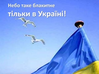 Небо таке блакитне
тільки в Україні!
 