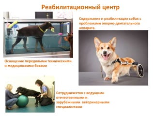 Реабилитационный центр
Оснащение передовыми техническими
и медицинскими базами
Содержание и реабилитация собак с
проблемами опорно-двигательного
аппарата.
Сотрудничество с ведущими
отечественными и
зарубежными ветеринарными
специалистами
 