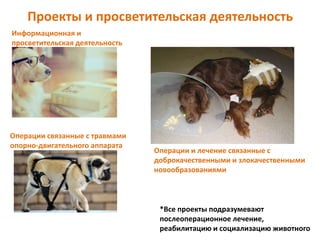 Проекты и просветительская деятельность
*Все проекты подразумевают
послеоперационное лечение,
реабилитацию и социализацию животного
Информационная и
просветительская деятельность
Операции связанные с травмами
опорно-двигательного аппарата
Операции и лечение связанные с
доброкачественными и злокачественными
новообразованиями
 