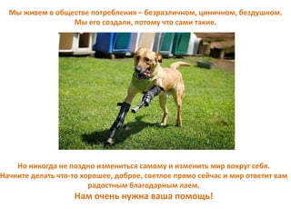 Мы живем в обществе потребления – безразличном, циничном, бездушном.
Мы его создали, потому что сами такие.
Но никогда не поздно измениться самому и изменить мир вокруг себя.
Начните делать что-то хорошее, доброе, светлое прямо сейчас и мир ответит вам
радостным благодарным лаем.
Нам очень нужна ваша помощь!
 