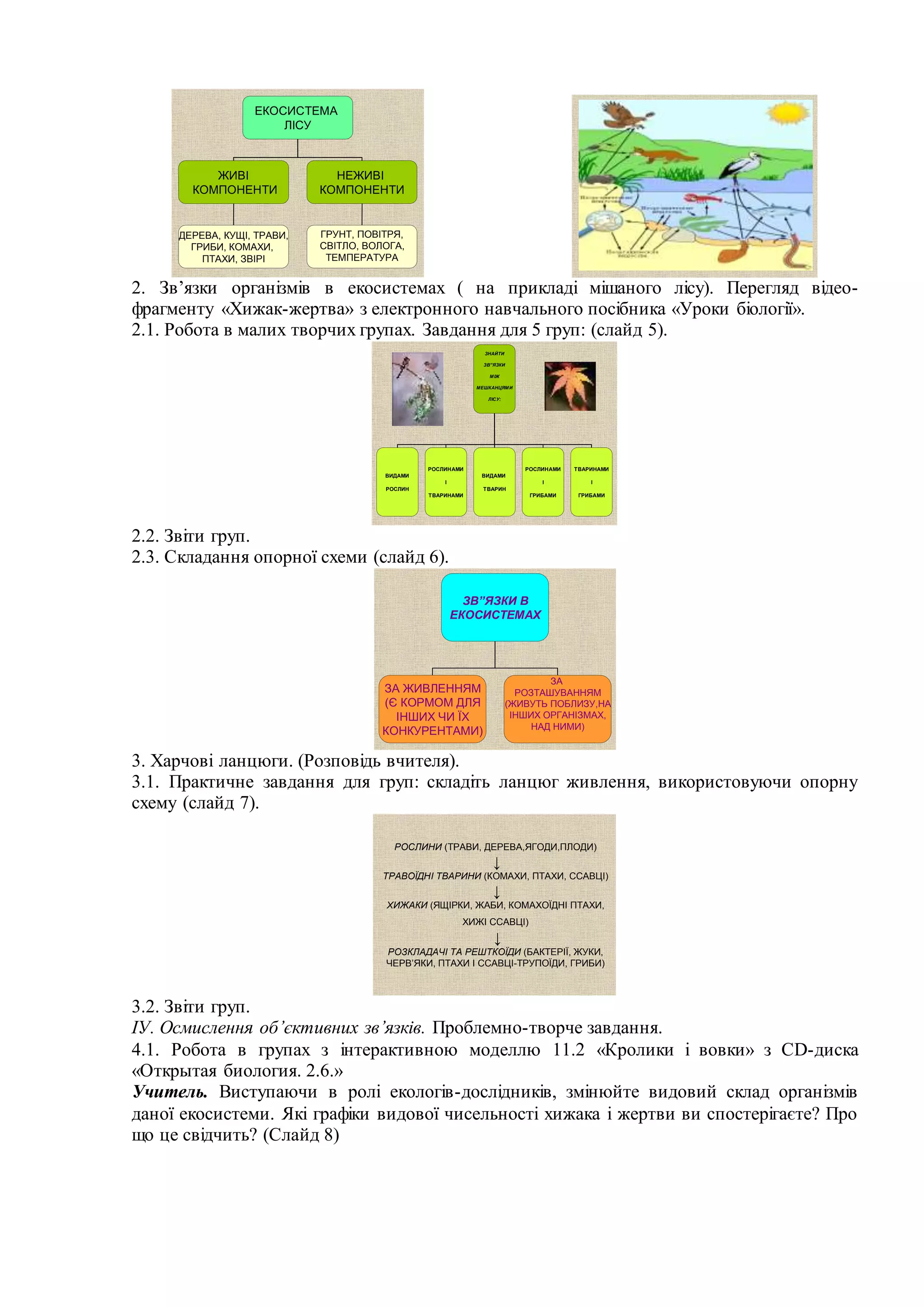ЕКОСИСТЕМА
ЛІСУ
ЖИВІ
КОМПОНЕНТИ
НЕЖИВІ
КОМПОНЕНТИ
ДЕРЕВА, КУЩІ, ТРАВИ,
ГРИБИ, КОМАХИ,
ПТАХИ, ЗВІРІ
ГРУНТ, ПОВІТРЯ,
СВІТЛО, ВОЛОГА,
ТЕМПЕРАТУРА
2. Зв’язки організмів в екосистемах ( на прикладі мішаного лісу). Перегляд відео-
фрагменту «Хижак-жертва» з електронного навчального посібника «Уроки біології».
2.1. Робота в малих творчих групах. Завдання для 5 груп: (слайд 5).
ЗНАЙТИ
ЗВ”ЯЗКИ
МІЖ
МЕШКАНЦЯМИ
ЛІСУ:
ВИДАМИ
РОСЛИН
РОСЛИНАМИ
І
ТВАРИНАМИ
ВИДАМИ
ТВАРИН
РОСЛИНАМИ
І
ГРИБАМИ
ТВАРИНАМИ
І
ГРИБАМИ
2.2. Звіти груп.
2.3. Складання опорної схеми (слайд 6).
ЗВ”ЯЗКИ В
ЕКОСИСТЕМАХ
ЗА ЖИВЛЕННЯМ
(Є КОРМОМ ДЛЯ
ІНШИХ ЧИ ЇХ
КОНКУРЕНТАМИ)
ЗА
РОЗТАШУВАННЯМ
(ЖИВУТЬ ПОБЛИЗУ,НА
ІНШИХ ОРГАНІЗМАХ,
НАД НИМИ)
3. Харчові ланцюги. (Розповідь вчителя).
3.1. Практичне завдання для груп: складіть ланцюг живлення, використовуючи опорну
схему (слайд 7).
РОСЛИНИ (ТРАВИ, ДЕРЕВА,ЯГОДИ,ПЛОДИ)
↓
ТРАВОЇДНІ ТВАРИНИ (КОМАХИ, ПТАХИ, ССАВЦІ)
↓
ХИЖАКИ (ЯЩІРКИ, ЖАБИ, КОМАХОЇДНІ ПТАХИ,
ХИЖІ ССАВЦІ)
↓
РОЗКЛАДАЧІ ТА РЕШТКОЇДИ (БАКТЕРІЇ, ЖУКИ,
ЧЕРВ’ЯКИ, ПТАХИ І ССАВЦІ-ТРУПОЇДИ, ГРИБИ)
3.2. Звіти груп.
ІУ. Осмислення об’єктивних зв’язків. Проблемно-творче завдання.
4.1. Робота в групах з інтерактивною моделлю 11.2 «Кролики і вовки» з CD-диска
«Открытая биология. 2.6.»
Учитель. Виступаючи в ролі екологів-дослідників, змінюйте видовий склад організмів
даної екосистеми. Які графіки видової чисельності хижака і жертви ви спостерігаєте? Про
що це свідчить? (Слайд 8)
 