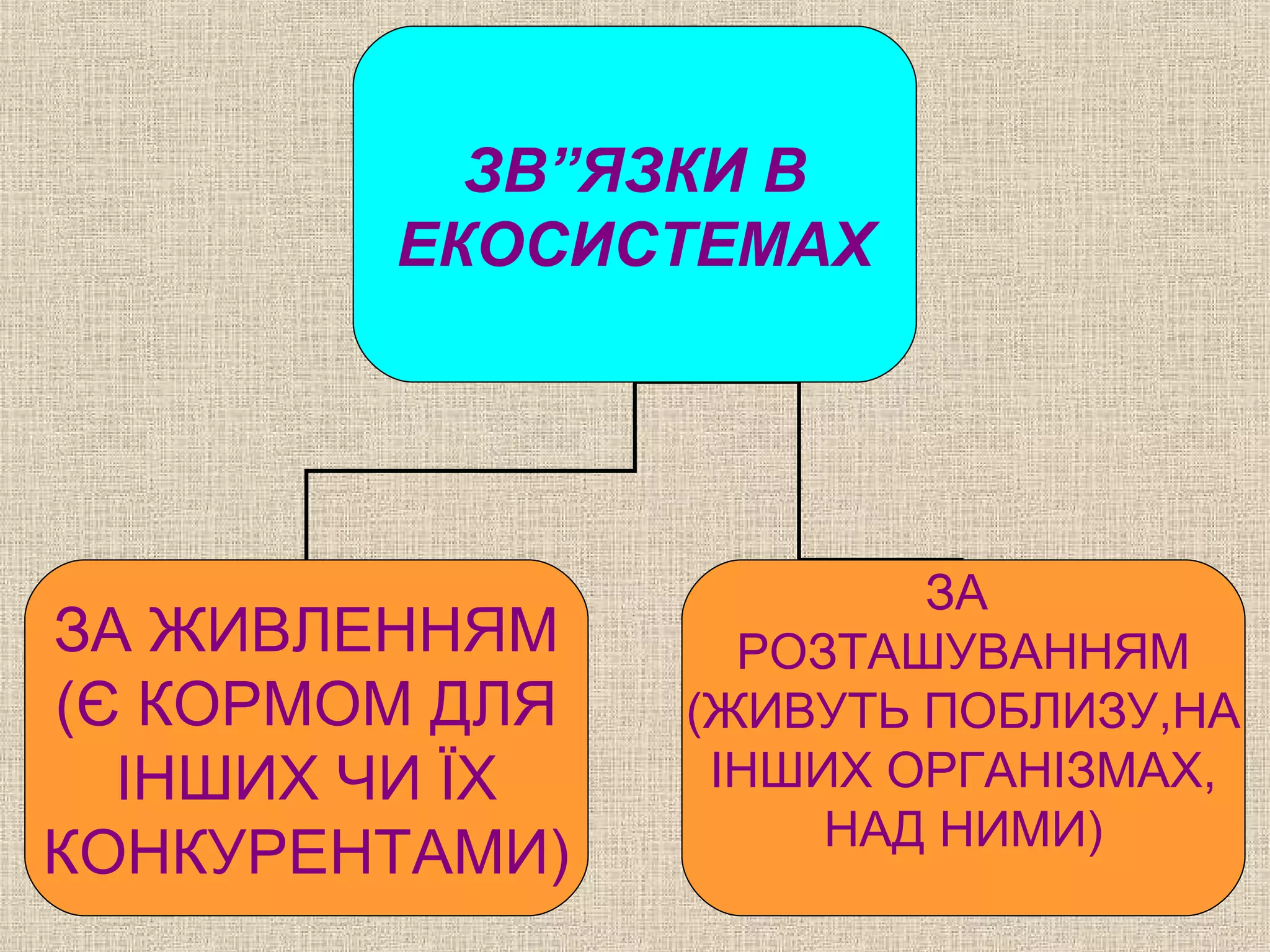 ЗВ”ЯЗКИ В
ЕКОСИСТЕМАХ
ЗА ЖИВЛЕННЯМ
(Є КОРМОМ ДЛЯ
ІНШИХ ЧИ ЇХ
КОНКУРЕНТАМИ)
ЗА
РОЗТАШУВАННЯМ
(ЖИВУТЬ ПОБЛИЗУ,НА
ІНШИХ ОРГАНІЗМАХ,
НАД НИМИ)
 