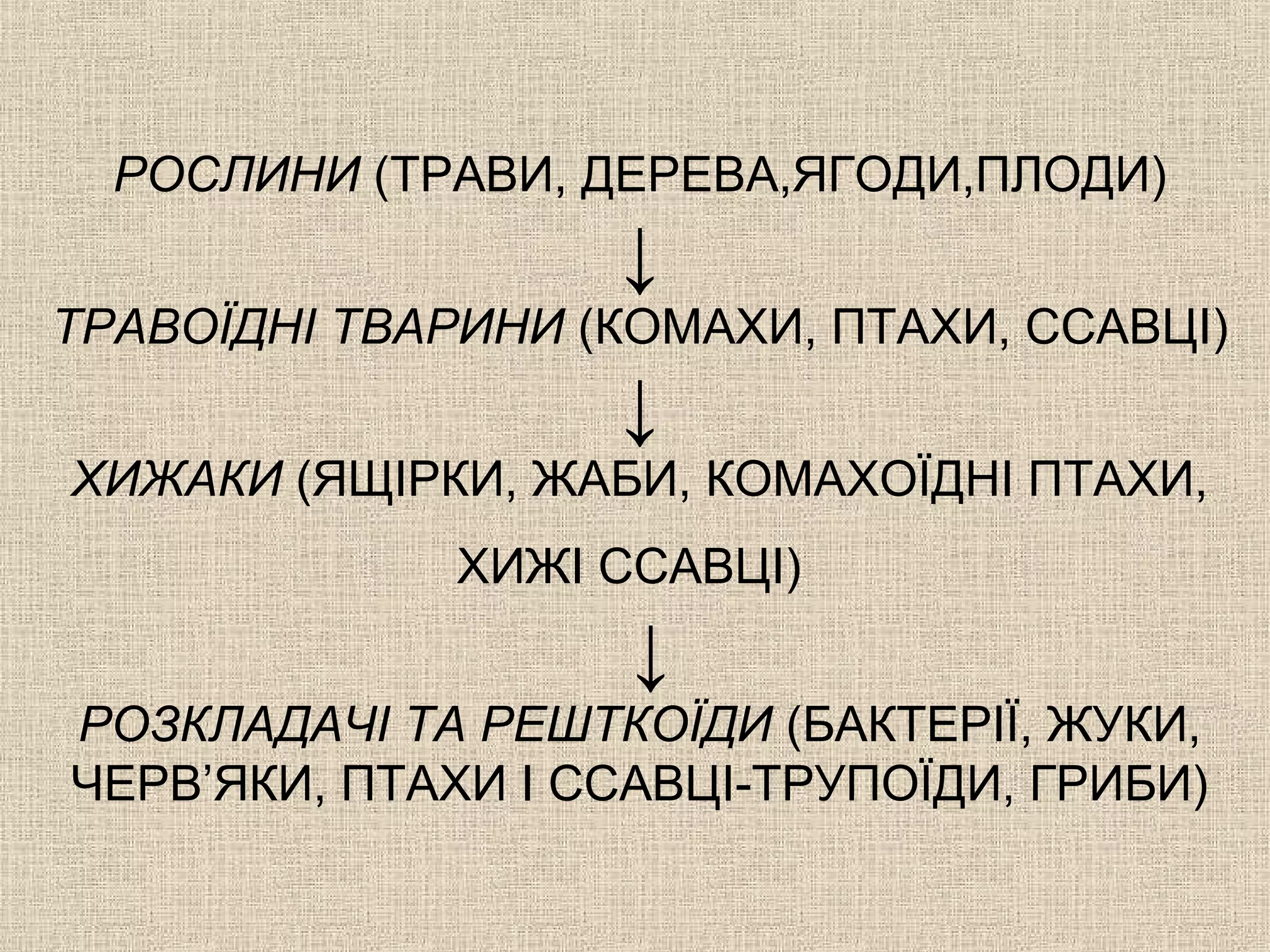 РОСЛИНИ (ТРАВИ, ДЕРЕВА,ЯГОДИ,ПЛОДИ)
↓
ТРАВОЇДНІ ТВАРИНИ (КОМАХИ, ПТАХИ, ССАВЦІ)
↓
ХИЖАКИ (ЯЩІРКИ, ЖАБИ, КОМАХОЇДНІ ПТАХИ,
ХИЖІ ССАВЦІ)
↓
РОЗКЛАДАЧІ ТА РЕШТКОЇДИ (БАКТЕРІЇ, ЖУКИ,
ЧЕРВ’ЯКИ, ПТАХИ І ССАВЦІ-ТРУПОЇДИ, ГРИБИ)
 