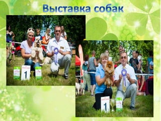 презентация маршрут готовая