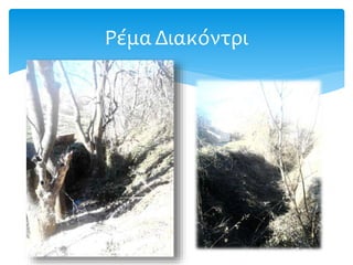 Ρέμα Διακόντρι
 