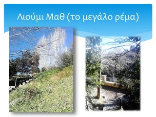 Λιούμι Μαθ (το μεγάλο ρέμα)
 