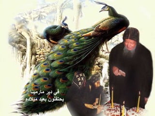 ‫مارمينا‬ ‫دير‬ ‫في‬
‫ميلده‬ ‫بعيد‬ ‫يحتفلون‬
 
