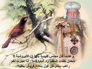 ‫وعندةما‬‫قال‬‫إن‬ ‫بنها‬ ‫كنيسة‬ ‫ةمجلس‬‫ا‬‫ل‬ ‫لبروحشية‬
‫تتحمل‬‫نفقات‬‫البابا‬ ‫رد‬ ‫أسقف‬‫ل‬ً  ‫قائ‬:‫لكم‬ ‫إخترت‬ ‫أنا‬
‫يكفيه‬ ‫قروش‬ ‫بتلت‬ ‫فول‬ ‫سندوتش‬ ‫راوهب‬
 