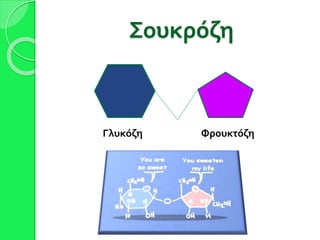 Σουκρόζη
Γλυκόζη Φρουκτόζη
 