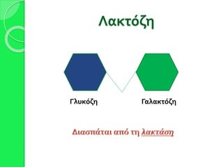 Λακτόζη
Γλυκόζη Γαλακτόζη
 