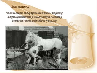 Фолко се старао о Белој Гривикао о правомпријатељу,
са пуно љубавинеговаоје младог пастува. Али кадаје
осетио зов чопора он је побегао у дивљину.
Зов чопора:
 