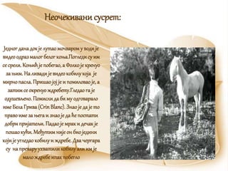 Једногданадокје лутаомочварому водије
видеоодразмалогбелогкоња.Погледису им
се срели. Коњићје побегао,а Фолкоје кренуо
за њим. На ливади је видео кобилукоја је
мирнопасла. Пришаојој је и помиловаоје, а
затимсе окренуождребету.Гледаога је
одушевљено. Помислида би му одговарало
име БелаГрива(CrinBlanc). Знаоје да је то
правоиме за њега и знаоје да ће постати
добрипријатељи. Падаоје мрак и дечакје
пошаокући.Међутимнијеон био једини
који је угледао кобилуи ждребе. Два чергара
су на преваруухватиликобилуали им је
малождребе ипакпобегло
Неочекиванисусрет:
 