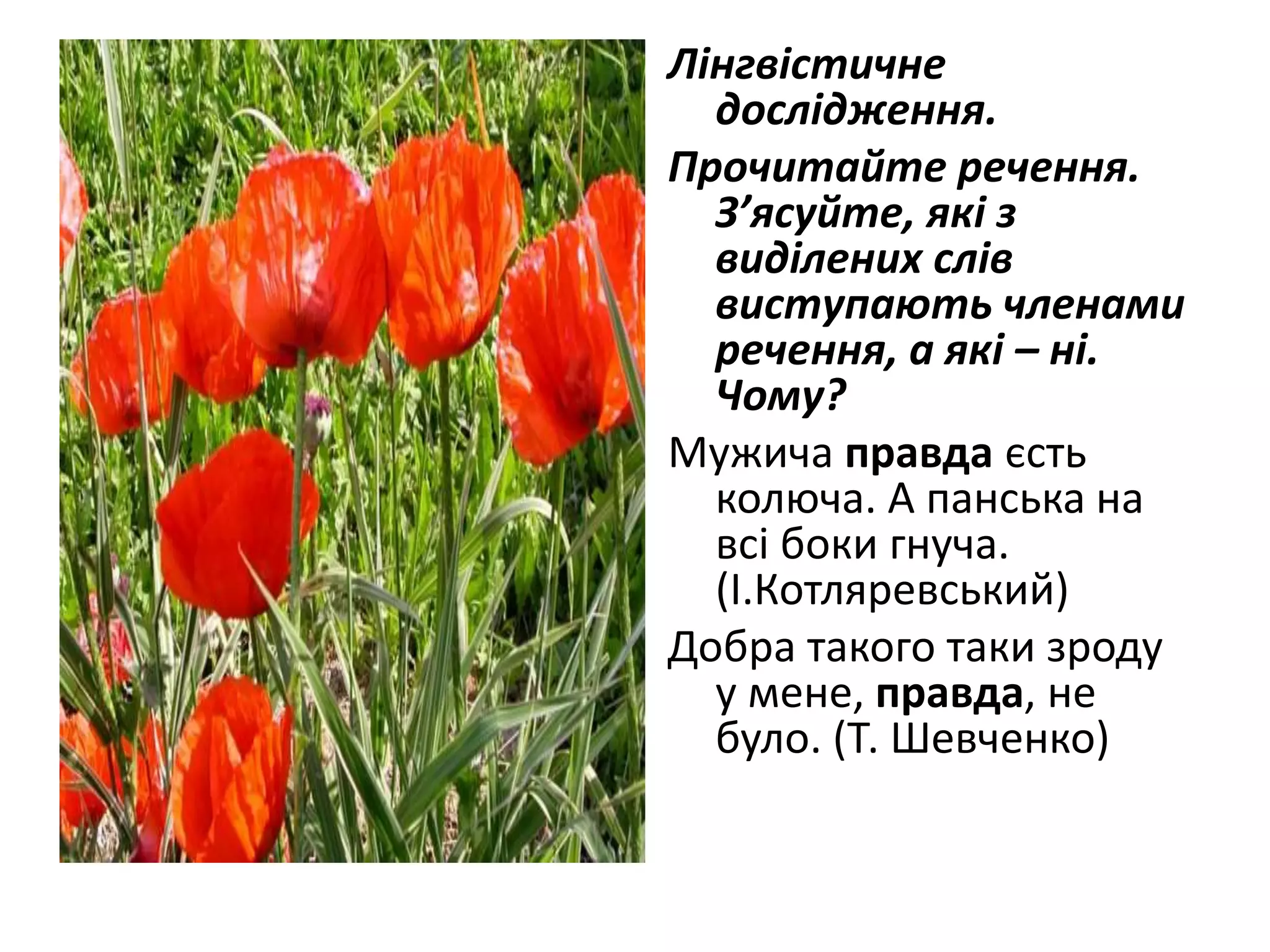 Лінгвістичне
дослідження.
Прочитайте речення.
З’ясуйте, які з
виділених слів
виступають членами
речення, а які – ні.
Чому?
Мужича правда єсть
колюча. А панська на
всі боки гнуча.
(І.Котляревський)
Добра такого таки зроду
у мене, правда, не
було. (Т. Шевченко)
 