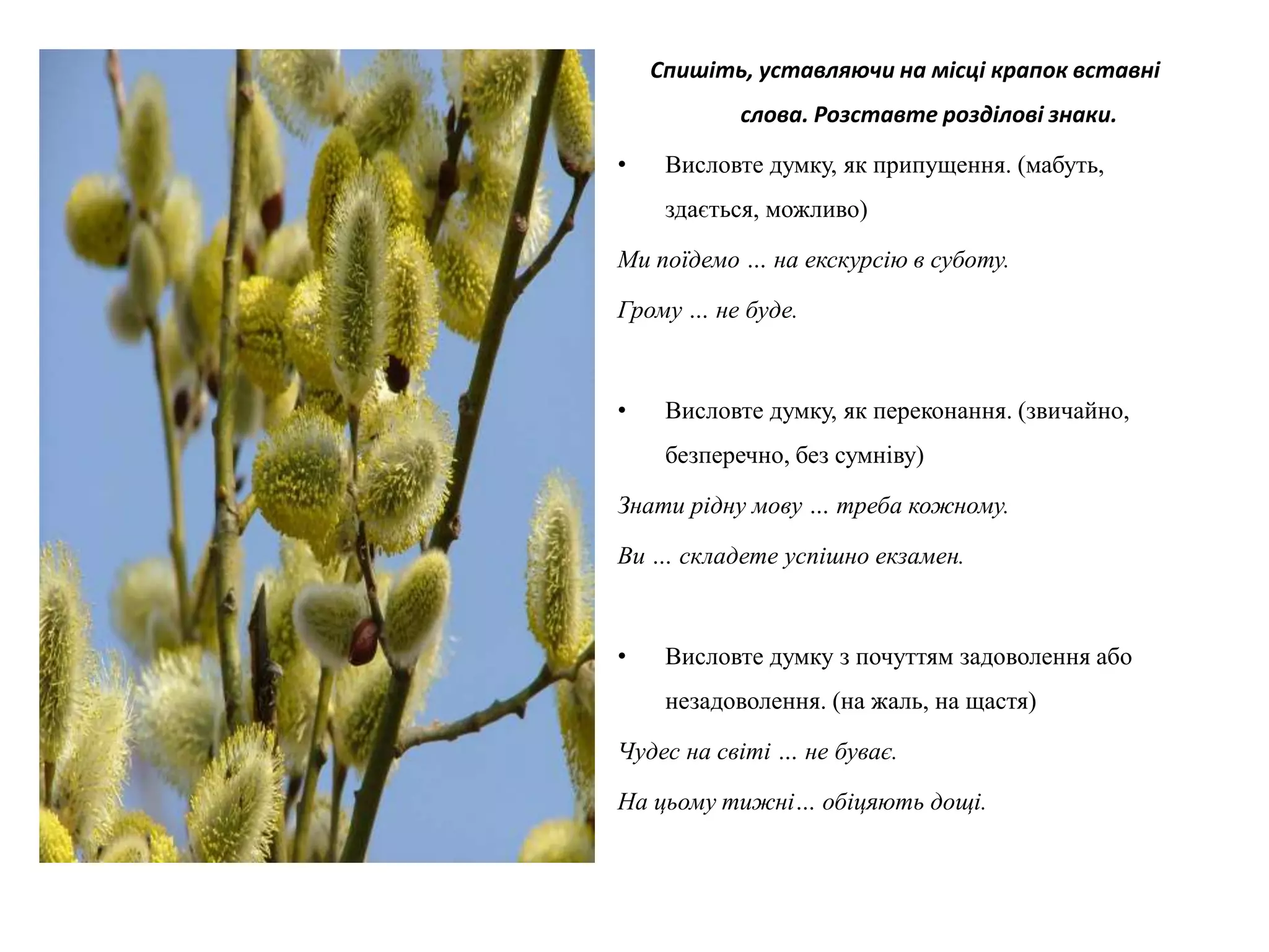 Спишіть, уставляючи на місці крапок вставні
слова. Розставте розділові знаки.
• Висловте думку, як припущення. (мабуть,
здається, можливо)
Ми поїдемо … на екскурсію в суботу.
Грому … не буде.
• Висловте думку, як переконання. (звичайно,
безперечно, без сумніву)
Знати рідну мову … треба кожному.
Ви … складете успішно екзамен.
• Висловте думку з почуттям задоволення або
незадоволення. (на жаль, на щастя)
Чудес на світі … не буває.
На цьому тижні… обіцяють дощі.
 
