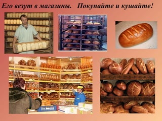 Его везут в магазины. Покупайте и кушайте!
 