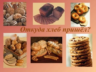 Откуда хлеб пришёл?
 