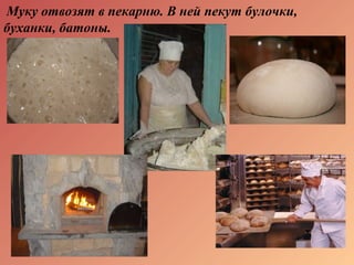 Муку отвозят в пекарню. В ней пекут булочки,
буханки, батоны.
 
