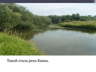 Такой стала река Каква.
 