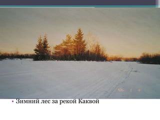 • Зимний лес за рекой Каквой
 