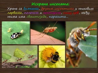 Исхрана инсеката:
Хране се биљкама, другим инсектима и њиховим
ларвама, поленом и нектаром, сишу крв, међу
њима има сваштоједа, паразита...
 