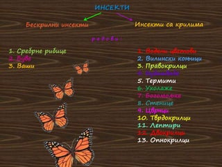 ИНСЕКТИ
Бескрилни инсекти Инсекти са крилима
1. Сребрне рибице
2. Буве
3. Ваши
1. Водени цветови
2. Вилински коњици
3. Правокрилци
4. Бубашвабе
5. Термити
6. Ухолаже
7. Богомољке
8. Стенице
9. Цврчци
10. Тврдокрилци
11. Лептири
12. Двокрилци
13. Опнокрилци
р е д о в и :
 