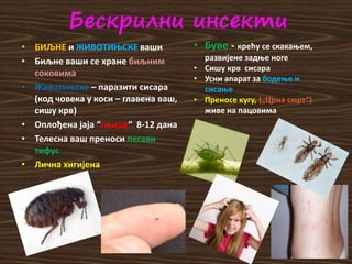 Бескрилни инсекти
• БИЉНЕ и ЖИВОТИЊСКЕ ваши
• Биљне ваши се хране биљним
соковима
• Животињске – паразити сисара
(код човека у коси – главена ваш,
сишу крв)
• Oплођена јаја “гњиде“ 8-12 дана
• Телесна ваш преноси пегави
тифус
• Лична хигијена
• Буве - крећу се скакањем,
развијене задње ноге
• Сишу крв сисара
• Усни апарат за бодење и
сисање
• Преносе кугу, („Црна смрт“)
живе на пацовима
 