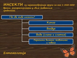 Где све живе инсекти?
Копно
Ваздух
Вода (слана и слатка)
Паразити биљака, животиња
и човека
ИНСЕКТИ су најмногобројнија група са око 1 000 000
врста, распрострањени у свим животним
срединама.
Ентомологија
 