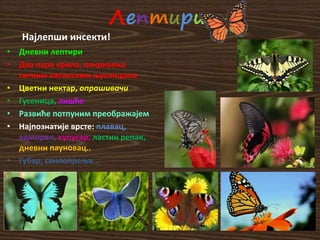 Лeптири
Најлепши инсекти!
• Дневни лептири
• Два пара крила, покривена
ситним хитинским љуспицама
• Цветни нектар, опрашивачи
• Гусеница, лишће
• Развиће потпуним преображајем
• Најпознатије врсте: плавац,
адмирал, купусар, ластин репак,
дневни пауновац..
• Губар, свилопреља...
 