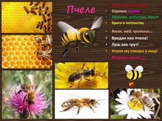 Пчеле
• Oпрашивачи биљака
• Oтровна жаока!
• Mатица, радилице, трут
• Брига о потомству
• Восак, мед, прополис..
• Вредан као пчела!
• Лењ као трут!
• Упала му секира у мед!
• Mедени месец :)
 