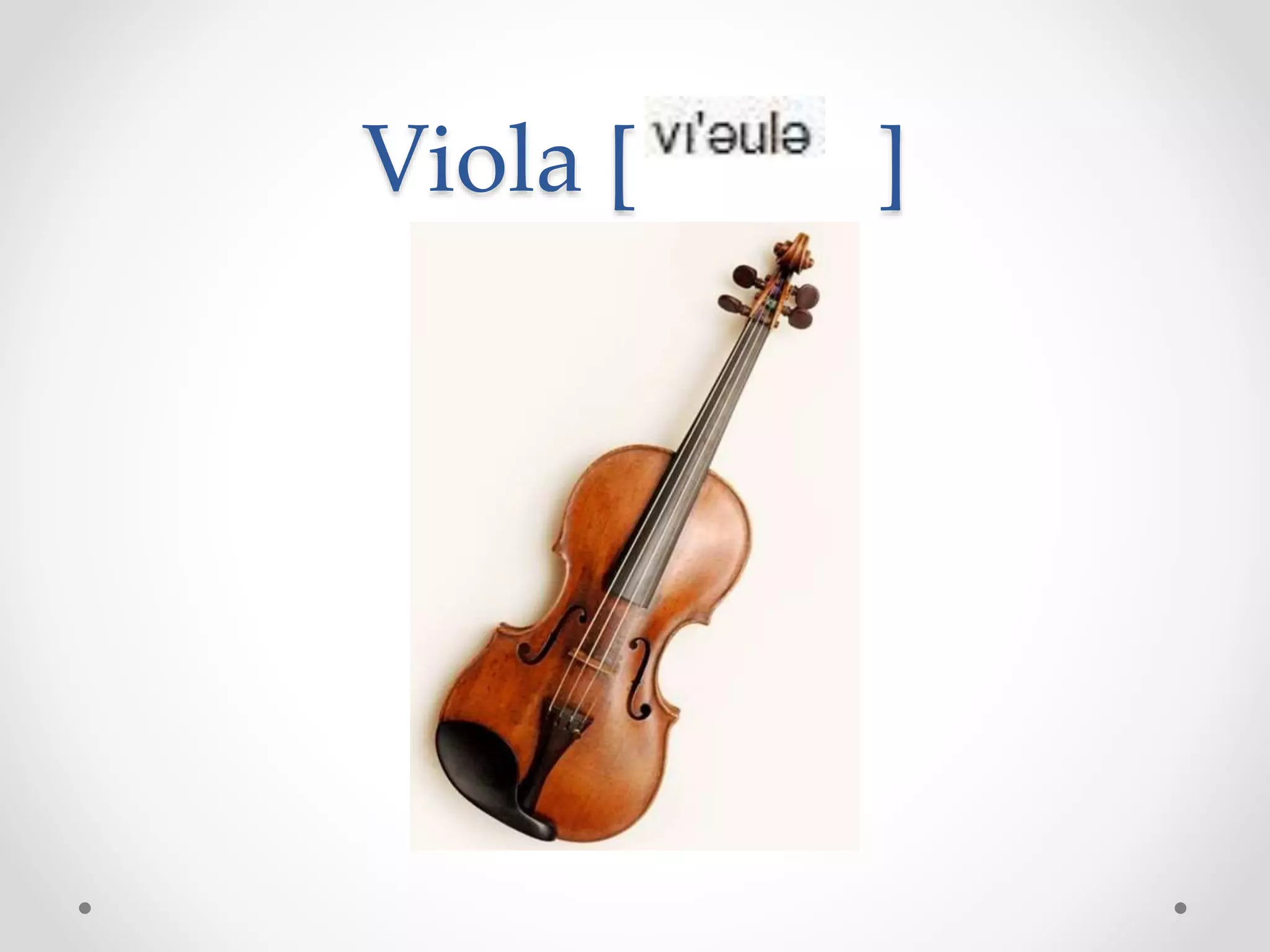 Viola [ ]
 