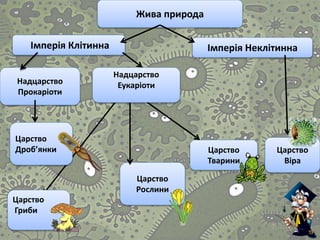 Царство
Віра
Царство
Тварини
Царство
Рослини
Царство
Гриби
Царство
Дроб’янки
Надцарство
ЕукаріотиНадцарство
Прокаріоти
Імперія НеклітиннаІмперія Клітинна
Жива природа
 