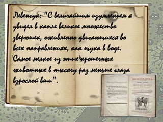 Левенгук: "С величайшим изумлением я
увидел в капле великое множество
зверюшек, оживленно двигающихся во
всех направлениях, как щука в воде.
Самое мелкое из этих крошечных
животных в тысячу раз меньше глаза
взрослой вши".
 