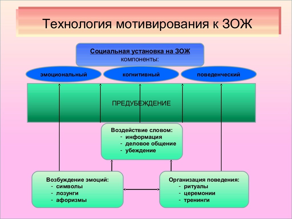 Образование человека здоровье человека закончи схему