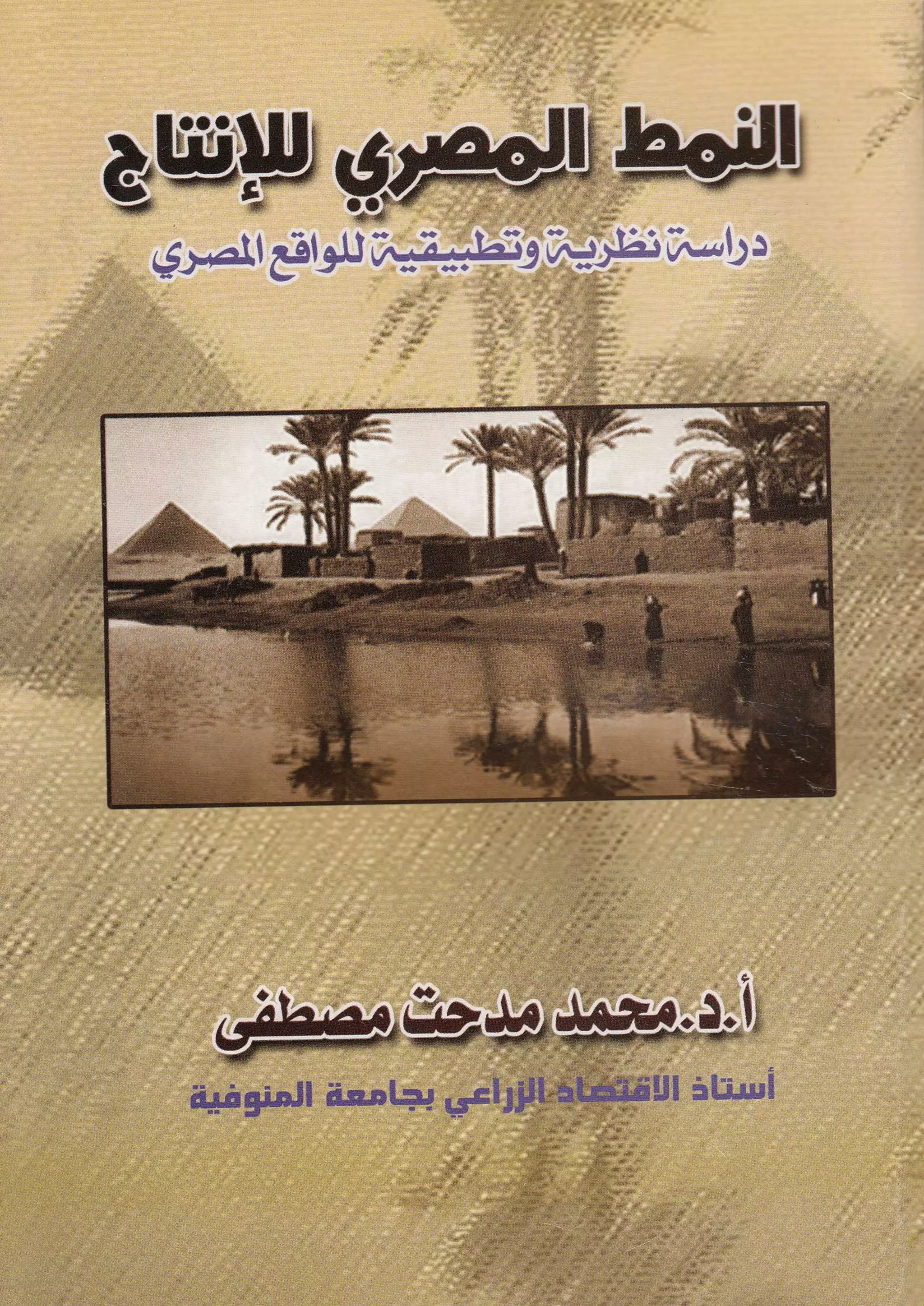 النمط المصري للإنتاج