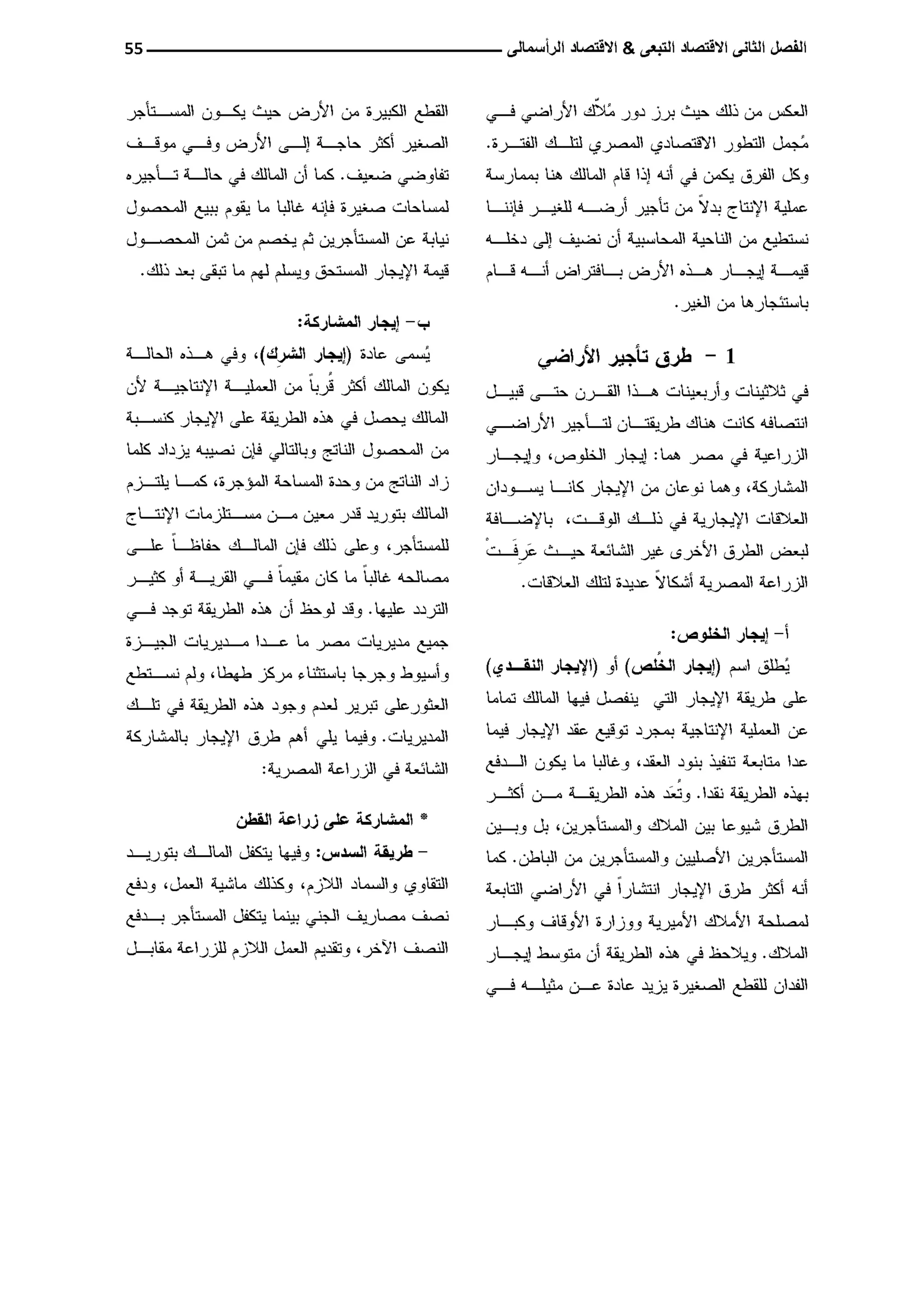 النمط المصري للإنتاج