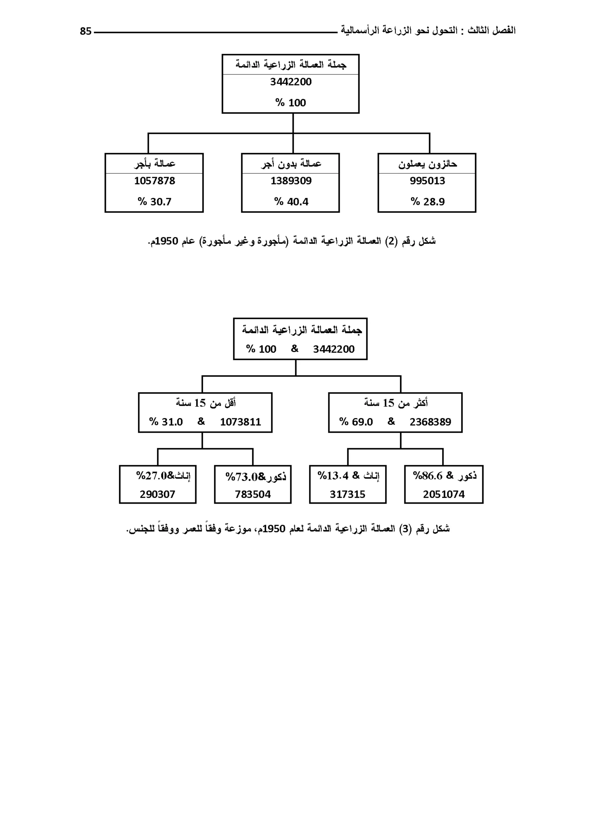النمط المصري للإنتاج