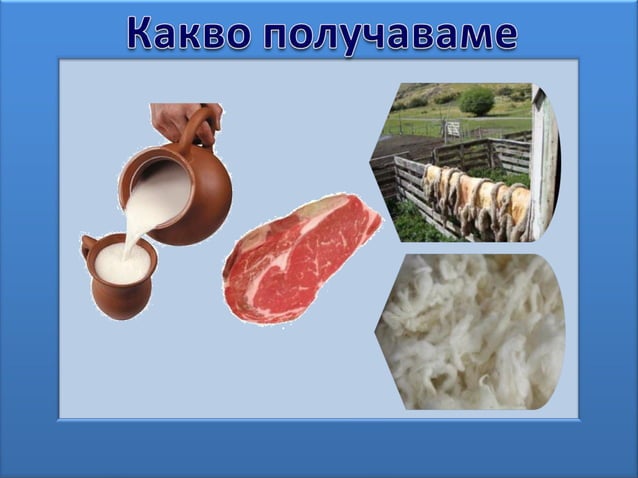 селскостопански животни вал. 2