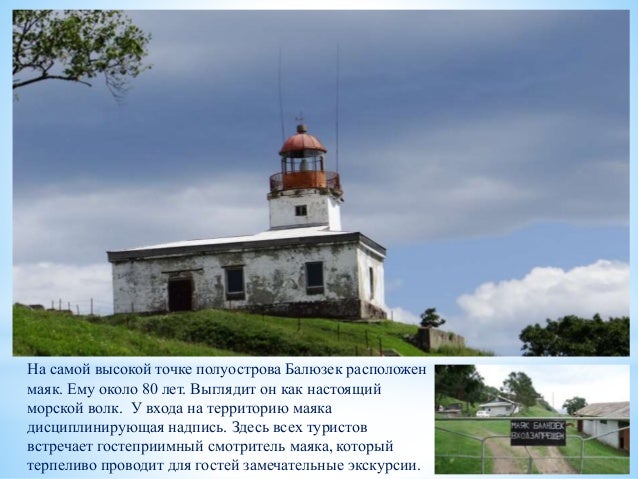 Быковские острова на волге