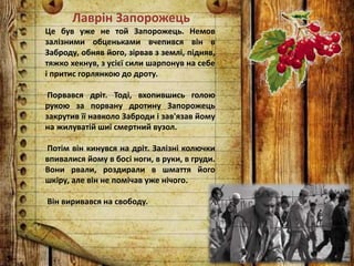 Лаврін Запорожець
Це був уже не той Запорожець. Немов
залізними обценьками вчепився він в
Заброду, обняв його, зірвав з землі, підняв,
тяжко хекнув, з усієї сили шарпонув на себе
і притис горлянкою до дроту.
Порвався дріт. Тоді, вхопившись голою
рукою за порвану дротину Запорожець
закрутив її навколо Заброди і зав'язав йому
на жилуватій шиї смертний вузол.
Потім він кинувся на дріт. Залізні колючки
впивалися йому в босі ноги, в руки, в груди.
Вони рвали, роздирали в шмаття його
шкіру, але він не помічав уже нічого.
Він виривався на свободу.
 