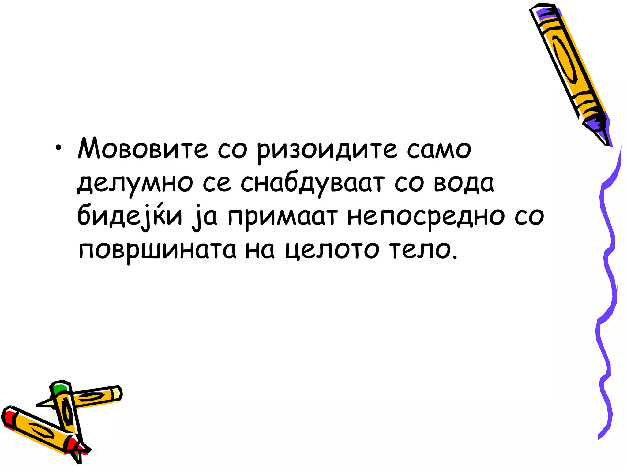 • Мововите со ризоидите само
делумно се снабдуваат со вода
бидејќи ја примаат непосредно со
површината на целото тело.
 