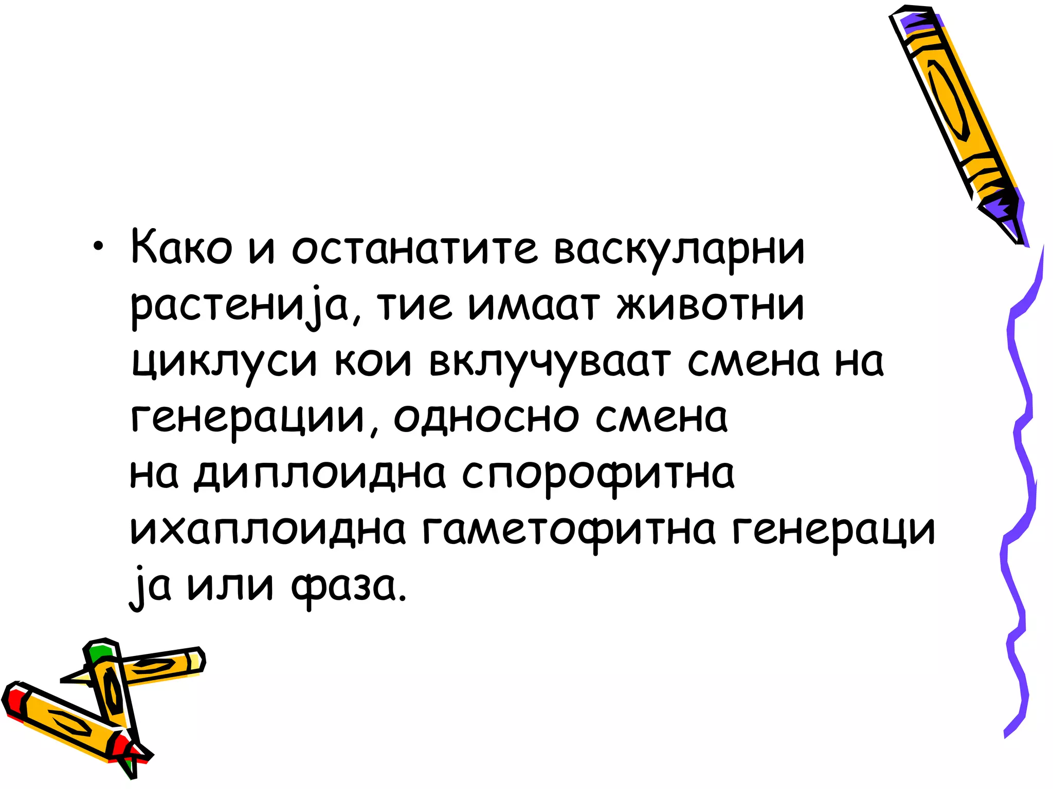 • Како и останатите васкуларни
растенија, тие имаат животни
циклуси кои вклучуваат смена на
генерации, односно смена
на диплоидна спорофитна
ихаплоидна гаметофитна генераци
ја или фаза.
 