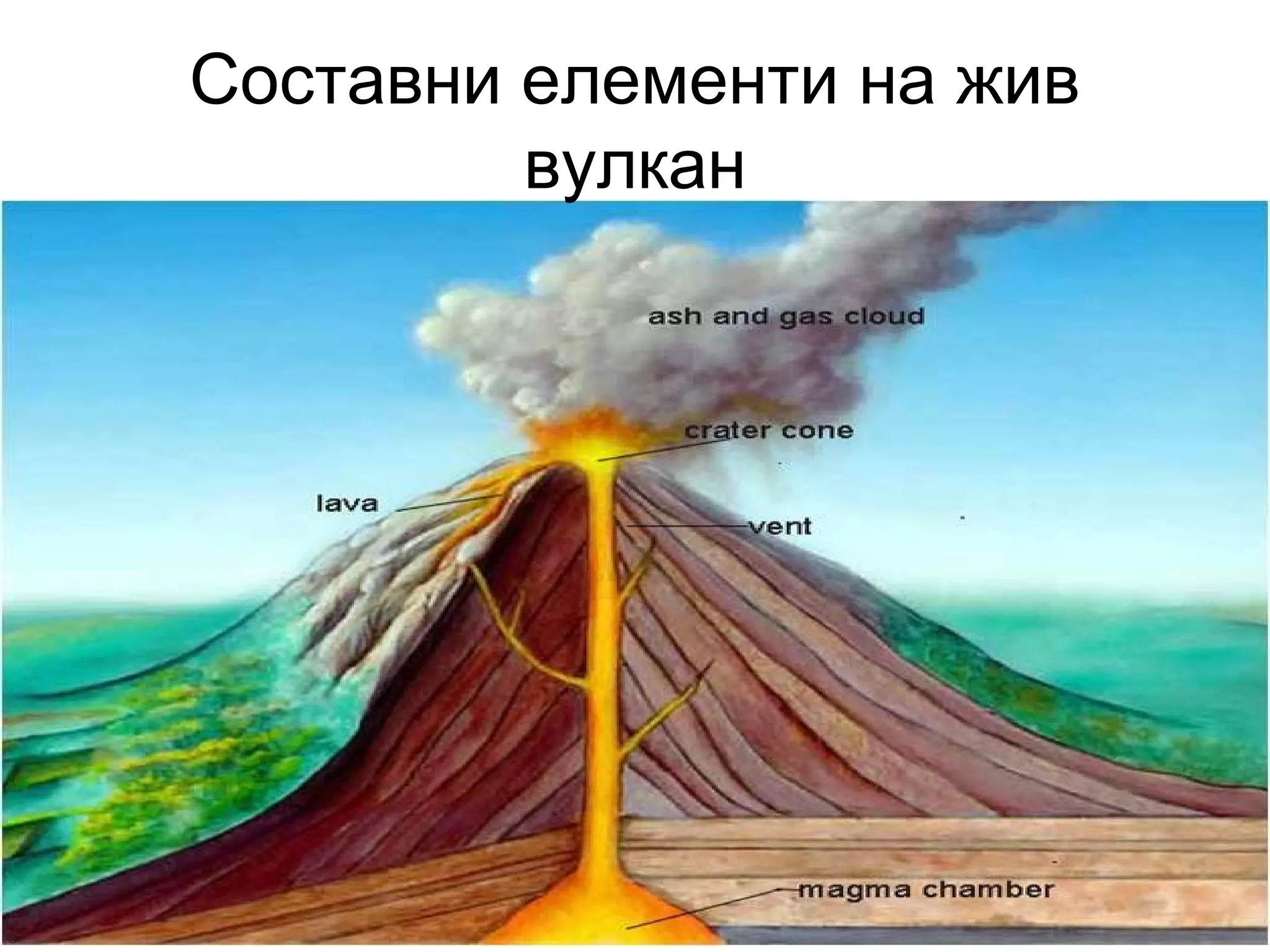 Составни елементи на жив
вулкан
 