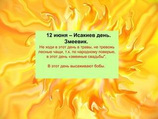 12 июня – Исакиев день.
Змеевик.
Неходивэтотденьвтравы,нетревожь
лесныечащи,т.к.понародномуповерью,
вэтотдень«змеиныесвадьбы".
Вэтотденьвысаживаютбобы.
 